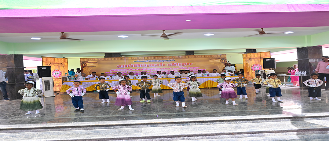 Different types of plywood