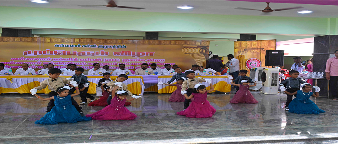 Veneers full wall design